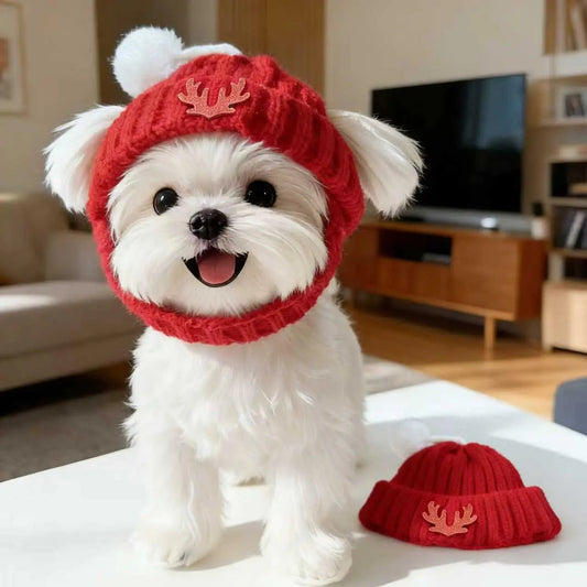 10 Essential Dog Care Tips Every Pet Owner Should Know